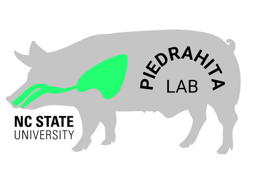 Piedrahita Lab Logo
